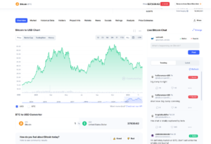 Buy the Dip Bitcion Chart